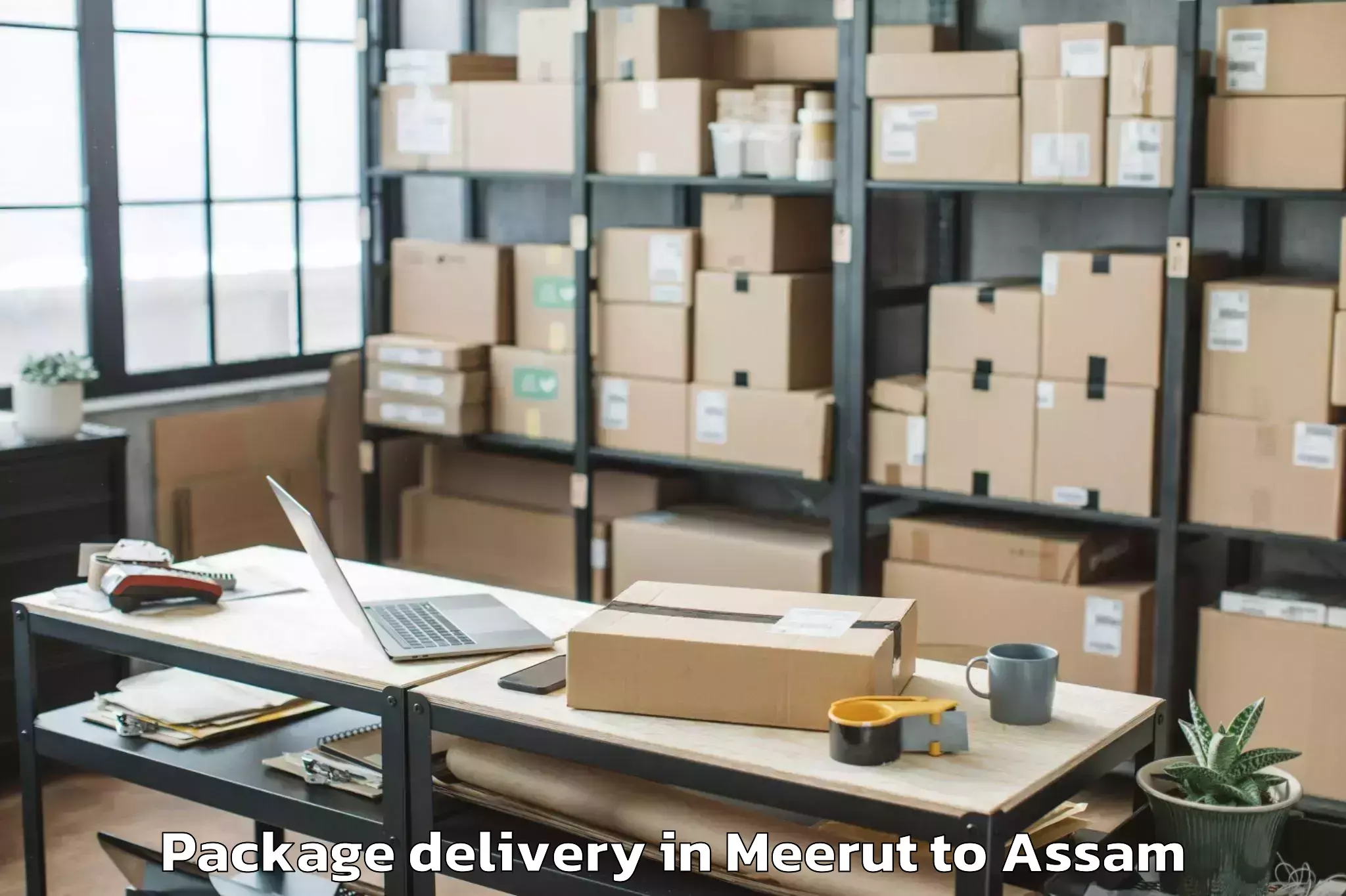 Professional Meerut to Soalkuchi Package Delivery